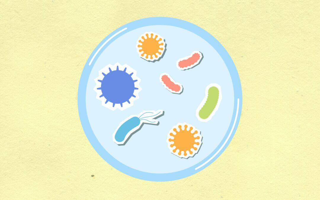 Infection Control Fundamentals